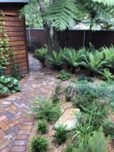 Garden Design & Plant Selection