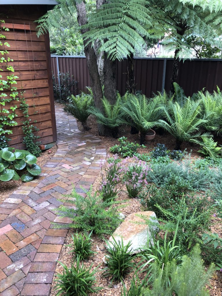 Garden Design & Plant Selection Appleseed Gardening