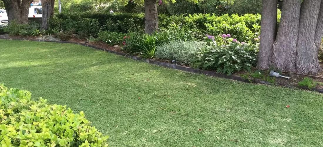 Garden Maintenance Inner West 2
