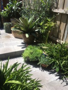 Horticultural Consulting