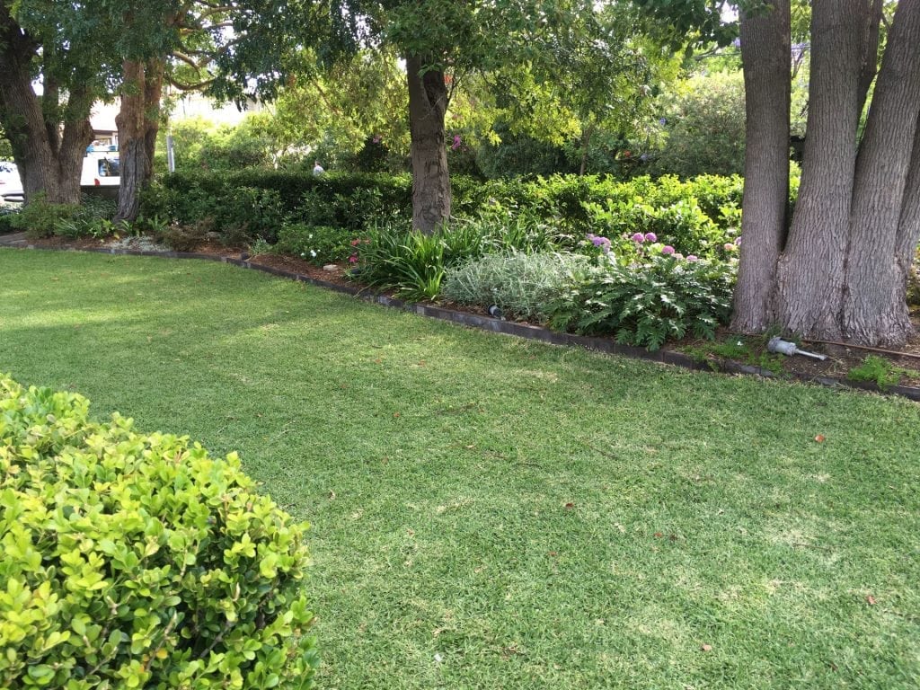 Appleseed Gardening Burwood 010
