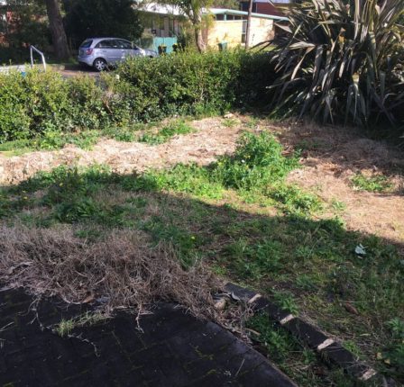 Appleseed Gardening Epping 037