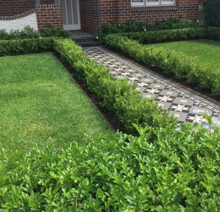 Appleseed Gardening Haberfield 063