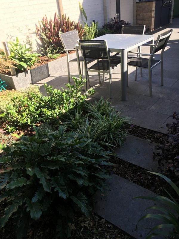 Rochford Inner West Landscaping | Appleseed Gardening