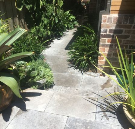 Appleseed Gardening Stanmore 116