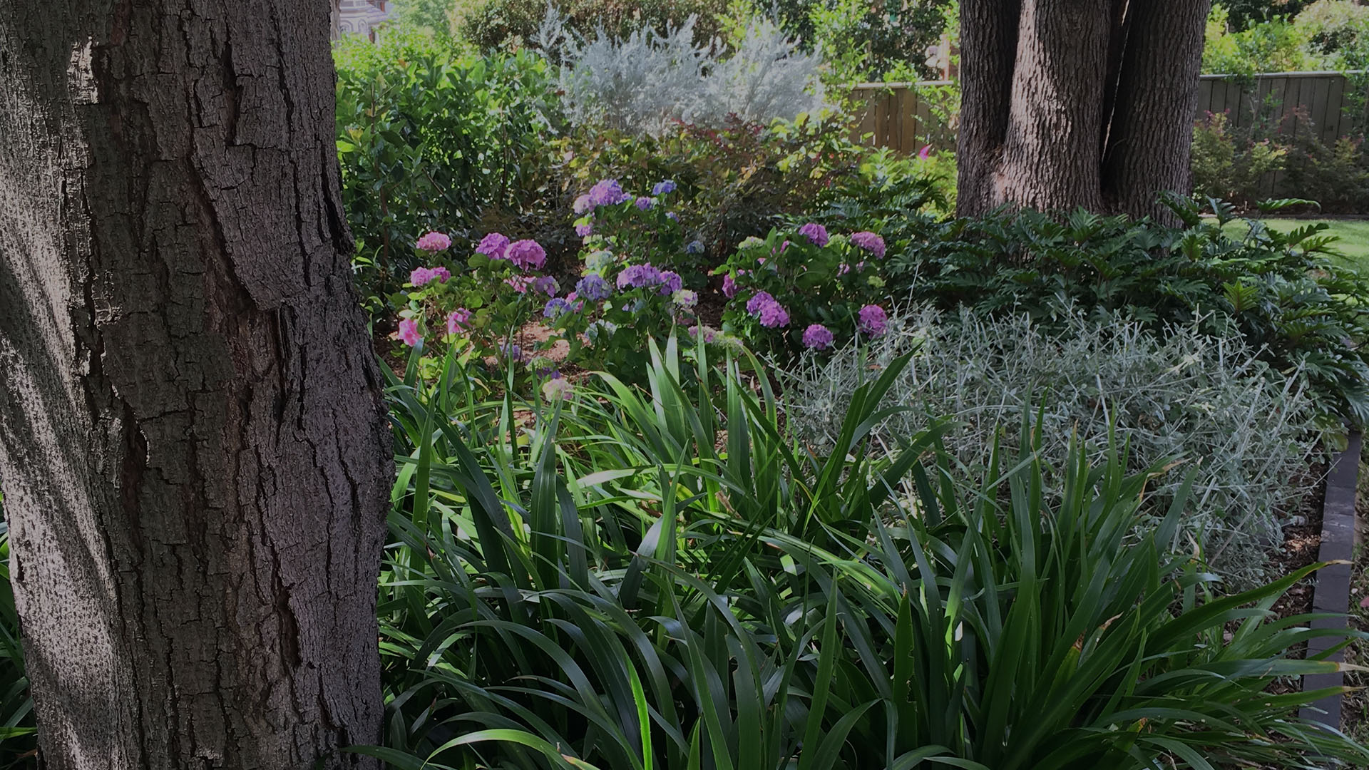 Flowering Garden (1)