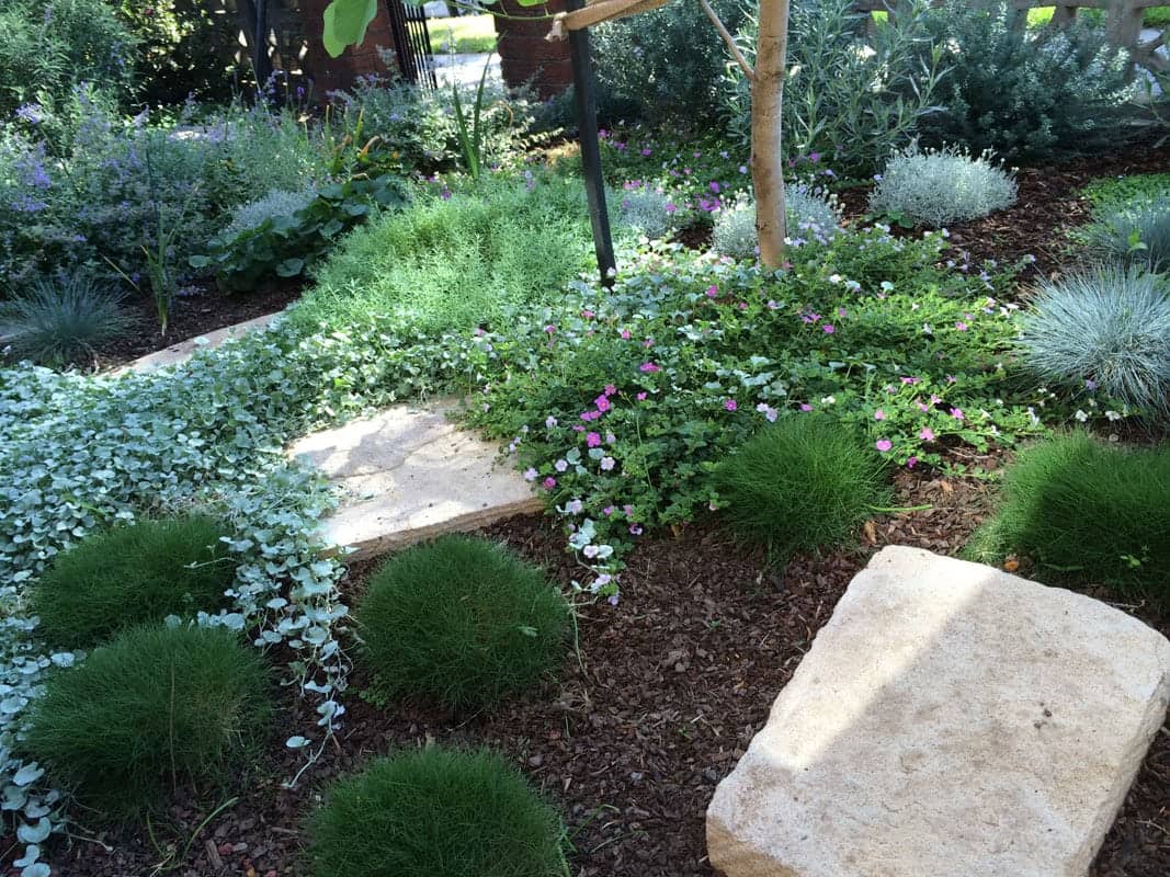 Garden Design Marrickville 2