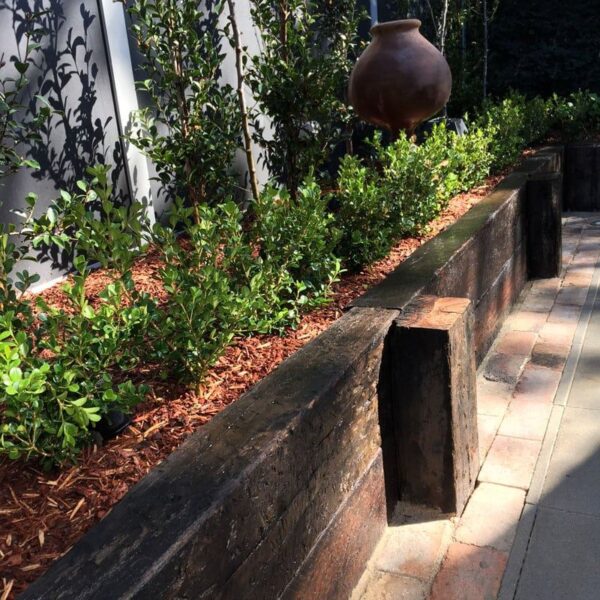Appleseed Gardening Dulwich Hill 024 1 E1653975861419