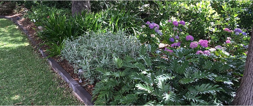 Horticultural Consulting Services