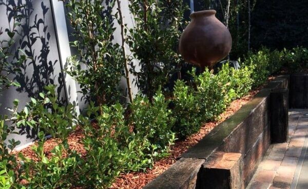 Garden maintenance services by Appleseed Gardening