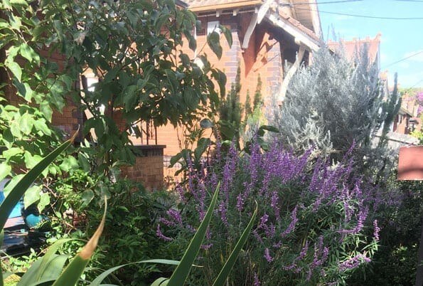 garden maintenance near me