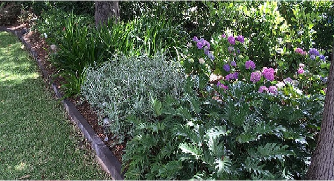 Ornamental And Horticultural Expertise